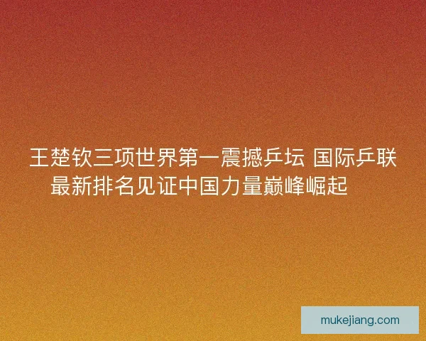 王楚钦三项世界第一震撼乒坛 国际乒联最新排名见证中国力量巅峰崛起 🏓
