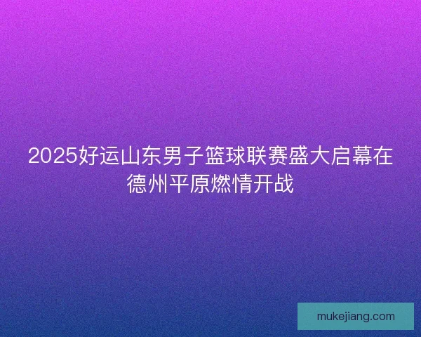 2025好运山东男子篮球联赛盛大启幕在德州平原燃情开战